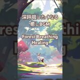 心地良い森林浴🌳 #relaxing#sleeping#ambient#healing#bgm#nightmusic#Moeppi#睡眠用#reading#breathing#meditation