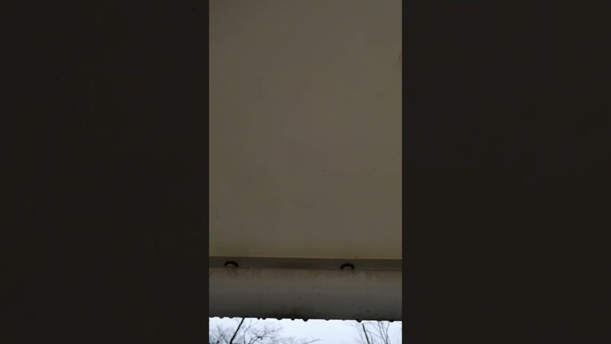 【愉快なぼっち道】雨の日の公園、雨音だけを聞く　#shorts #一人ぼっち #ぼっち #独身貴族  #国際協力  #株式投資  #ボランティア #サイドfire  #不労所得 #一人語り