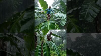 sounds water relaxation for the sleeping beautiful soundly #sleepsolution #nature #asmr