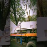 traveling in tea  garden 🥰 #ytshorts #travel #vlog #assam