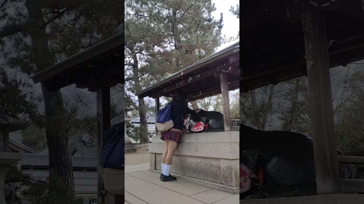 女装　制服で寺社巡り