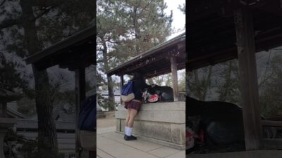 女装　制服で寺社巡り