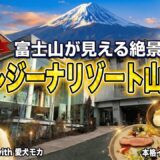 【レジーナリゾート山中湖】宿泊費公開＆ルームツアー！愛犬と泊まれる温泉宿で絶品イタリアン｜トイプードル