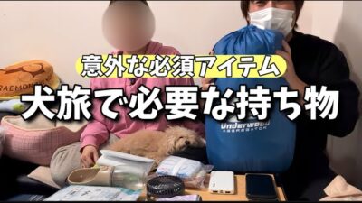 【パッキング】経験から学んだ犬連れ旅を楽しむマストアイテムのご紹介。
