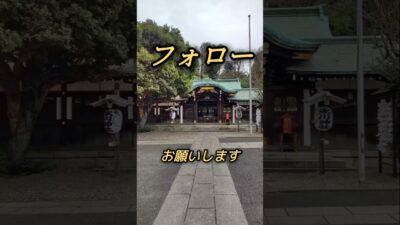 #神社巡り #参拝 #東京 #寺社仏閣好き #パワースポット