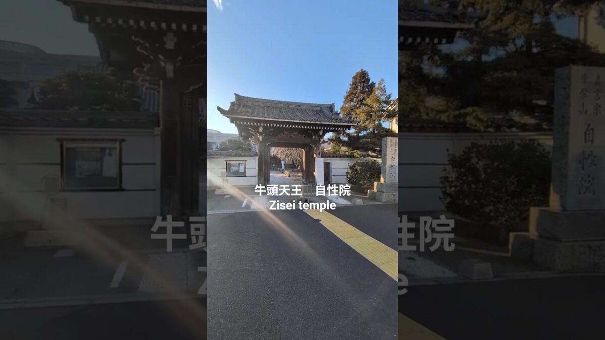 羽田神社の隣にある、実はすごいお寺。自性院　#自性院 #羽田神社 #大田区 #寺社巡り #パワースポット #羽田 #御朱印 #東京散歩 #牛頭天王