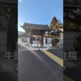 羽田神社の隣にある、実はすごいお寺。自性院　#自性院 #羽田神社 #大田区 #寺社巡り #パワースポット #羽田 #御朱印 #東京散歩 #牛頭天王