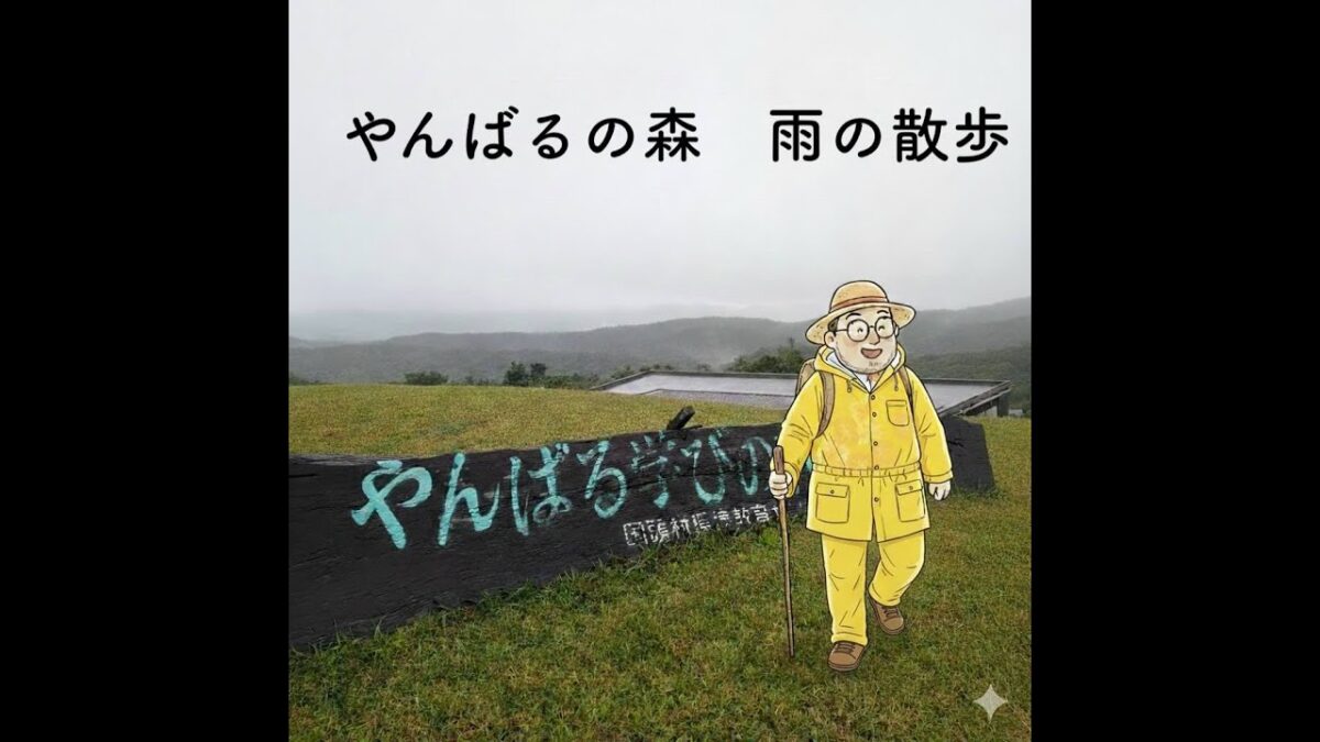 沖縄 国頭村 やんばるの森 雨散歩