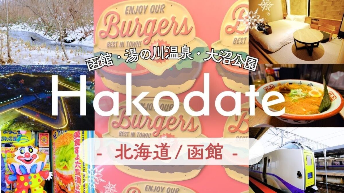 [ vlog ]冬の函館ひとり旅❄️絶景に大感動⭐️函館山、湯の川温泉、五稜郭タワー、大沼国定公園