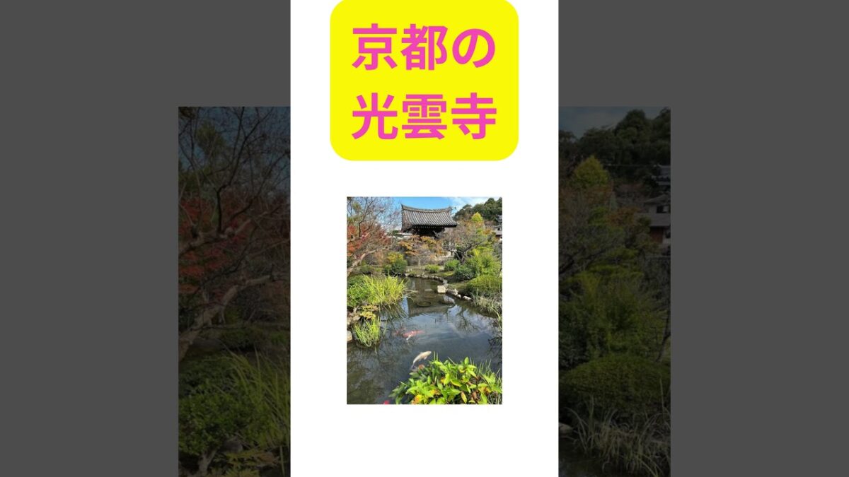 座禅体験の できる寺 #voicebox四国めたん#整える