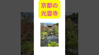 座禅体験の できる寺 #voicebox四国めたん#整える