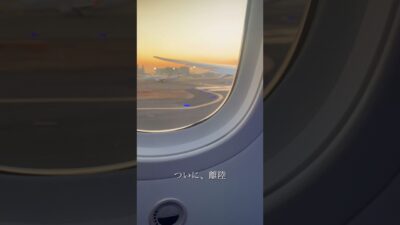 空の上で過ごす12時間。3回の機内食に大満足！NYへ向かう機内の様子。✈️🍱✨