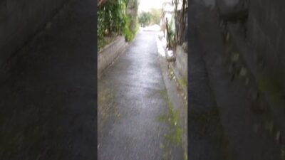 散歩動画2 #散歩動画 #雨 #雨音 #実写 #ネタ切れ
