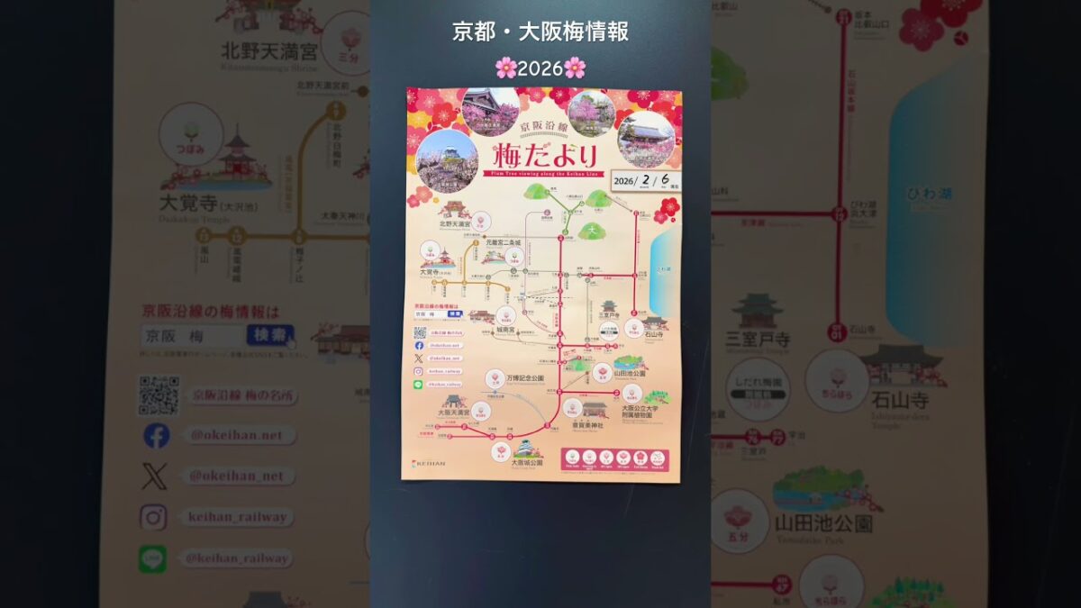 🌸2/6京都大阪🌸梅の開花新着情報🌸　#城南宮　#梅　#桜　#kyoto #開花情報