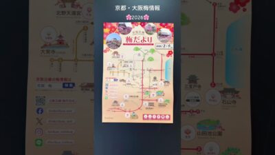 🌸2/6京都大阪🌸梅の開花新着情報🌸　#城南宮　#梅　#桜　#kyoto #開花情報