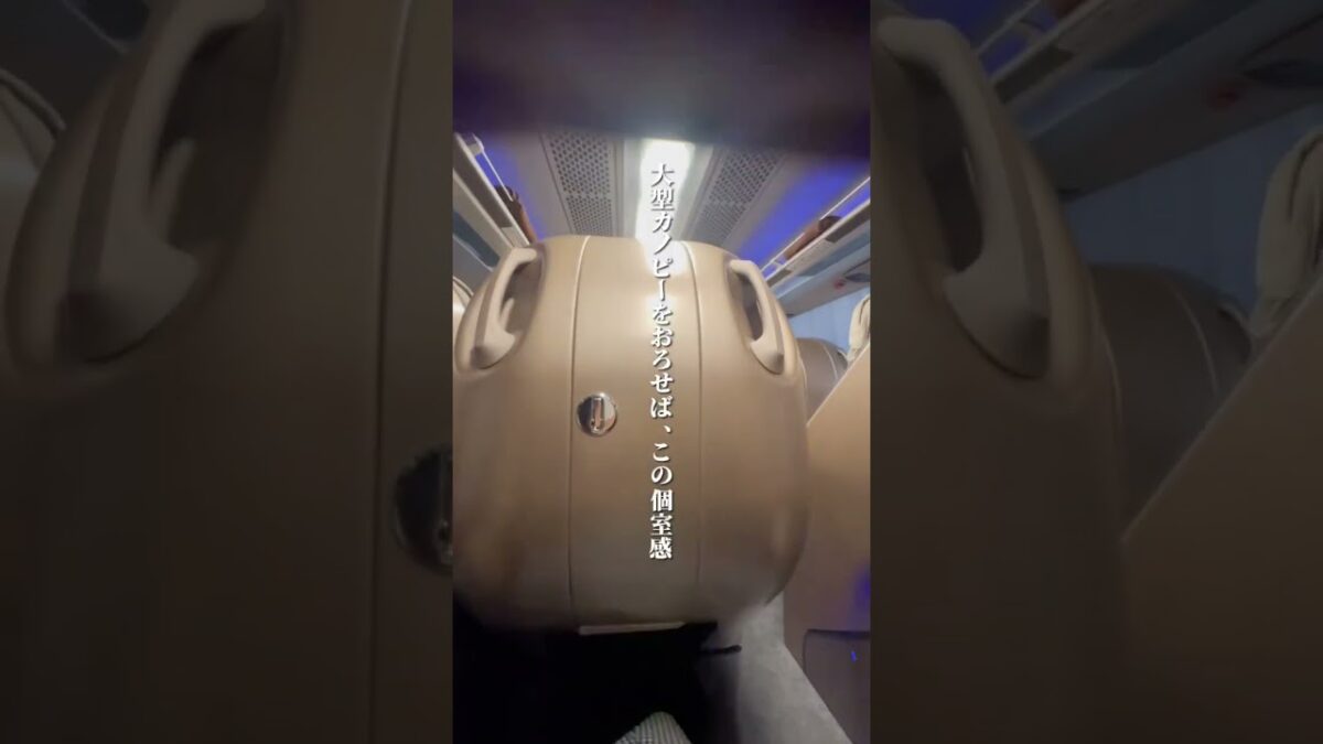 快適すぎる高速バス3列シート「ドーム」