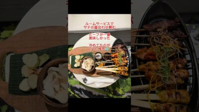 【バリ島・サヌールルームツアー4星ホテル】 #nomad #nomadvlog#baliescape #ubudlife #sanurbali