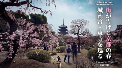 梅が告げる、京都の春 ― 城南宮・東寺を巡る小さな旅 ―｜4K