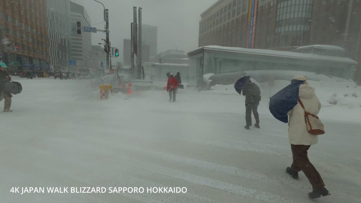 4K Japan Walk Blizzard hit Major city morning Sapporo Hokkaido(world-famous tourist city)吹雪の札幌の朝を歩く