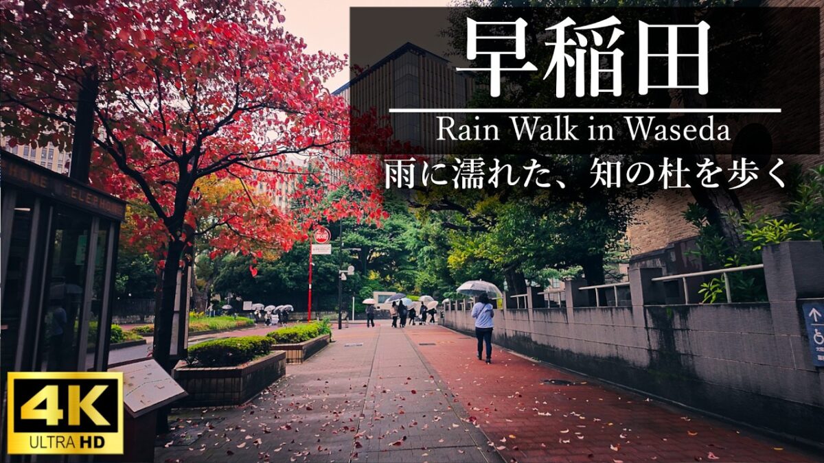 【4K散歩】　雨の椿山荘から早稲田へ。静寂の住宅街と神田川を巡る朝の散歩 | Rain Walk from Chinzanso to Waseda, Tokyo