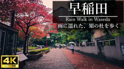 【4K散歩】　雨の椿山荘から早稲田へ。静寂の住宅街と神田川を巡る朝の散歩 | Rain Walk from Chinzanso to Waseda, Tokyo