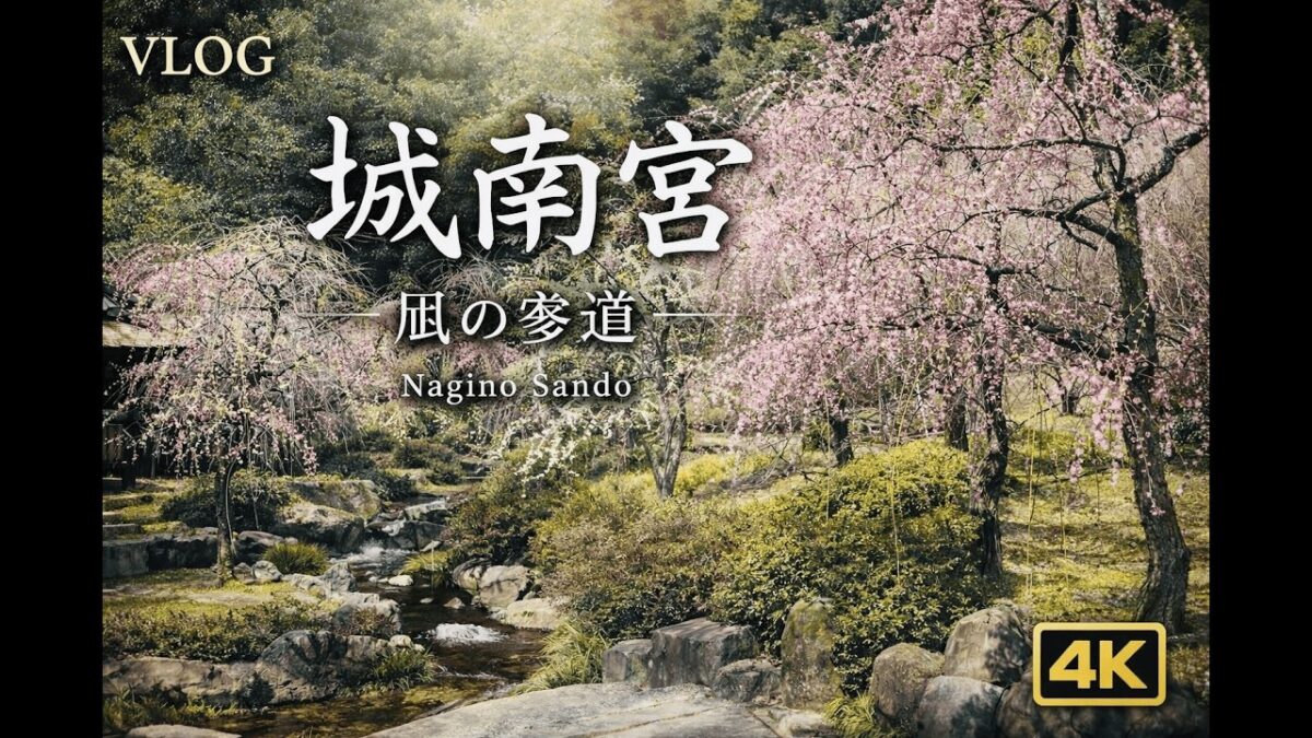 【4K 京都Vlog】城南宮の神苑へ｜しだれ梅と椿｜2026.02.21｜