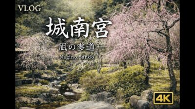 【4K 京都Vlog】城南宮の神苑へ｜しだれ梅と椿｜2026.02.21｜