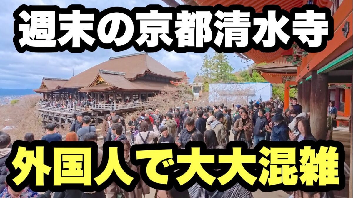 【4K】2026年2月28日（土）週末の京都清水寺は外国人で大大混雑！