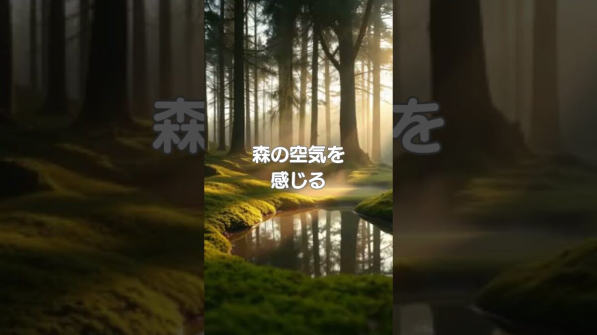 ♪【森林浴BGM】024♪ #リラクゼーション #癒し