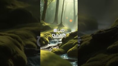 ♪【森林浴BGM】025♪ #リラクゼーション #癒し