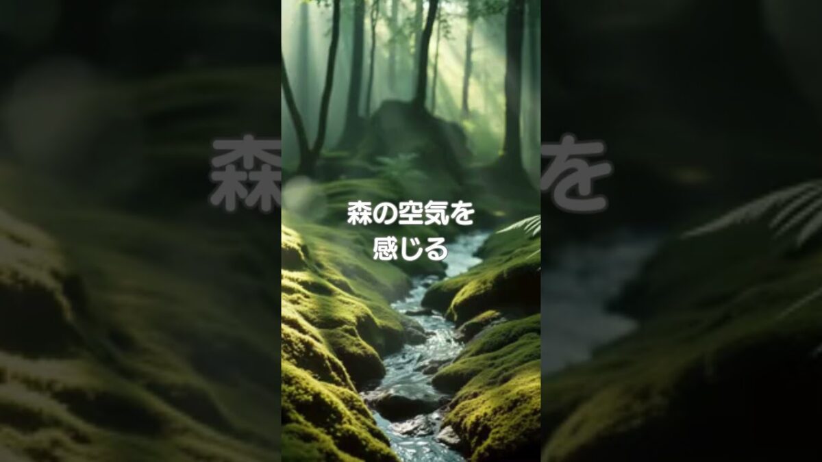 ♪【森林浴BGM】026♪ #リラクゼーション #癒し