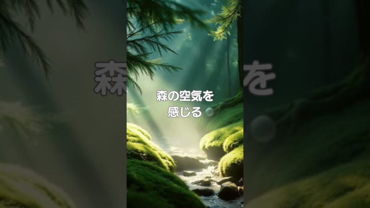 ♪【森林浴BGM】027♪ #リラクゼーション #癒し