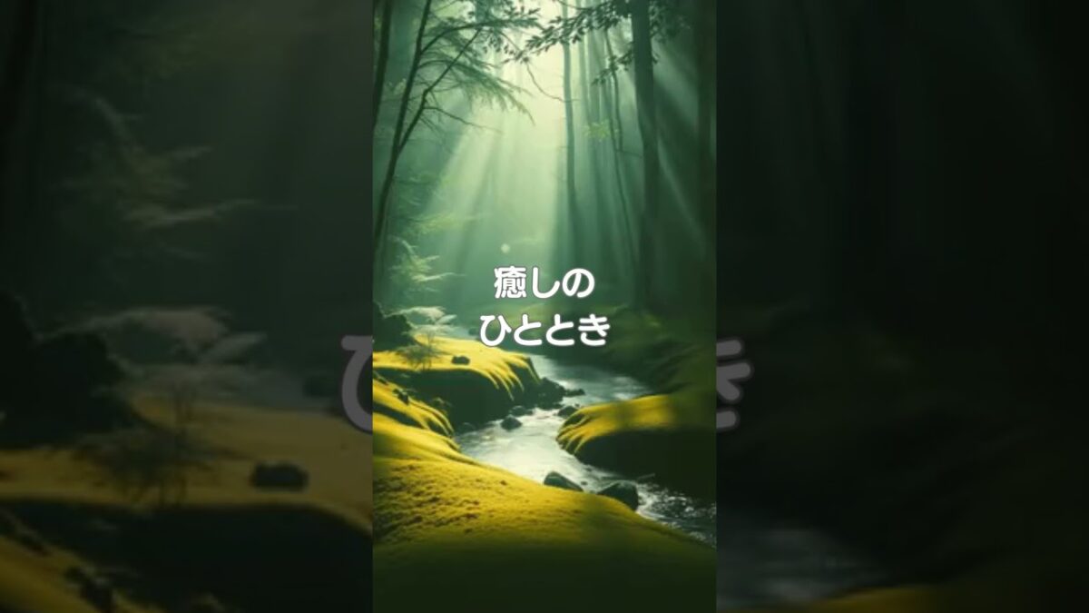 ♪【森林浴BGM】030♪ #リラクゼーション #癒し