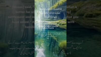 Baqara 61 #Rainy #health #nature #asmr #islamic#trending #quran #life #savewater #relaxing