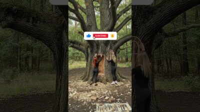 Crafting a Tiny Tree Shelter | ASMR & Woodworking Timelapse