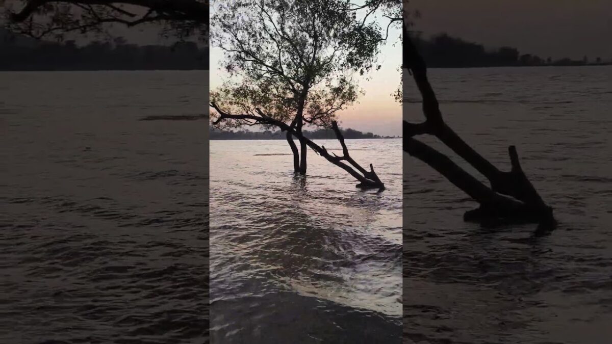 Daily Vlog #motovlog #holydays #couplevlog #bengalivlog #maithon #travel  #nature #asmr #trending