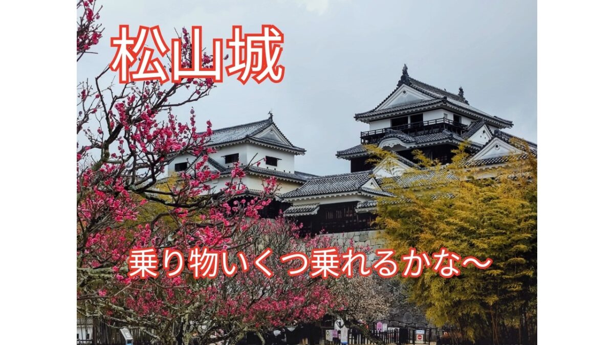 【マイルで一人旅】松山城と乗り物天国の街〜道後温泉編_Day2