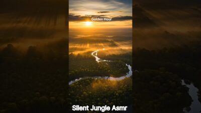 Escape Into the Silent Jungle 🌿 Deep Nature ASMR for Sleep & Relaxation #shorts #nature #relaxing