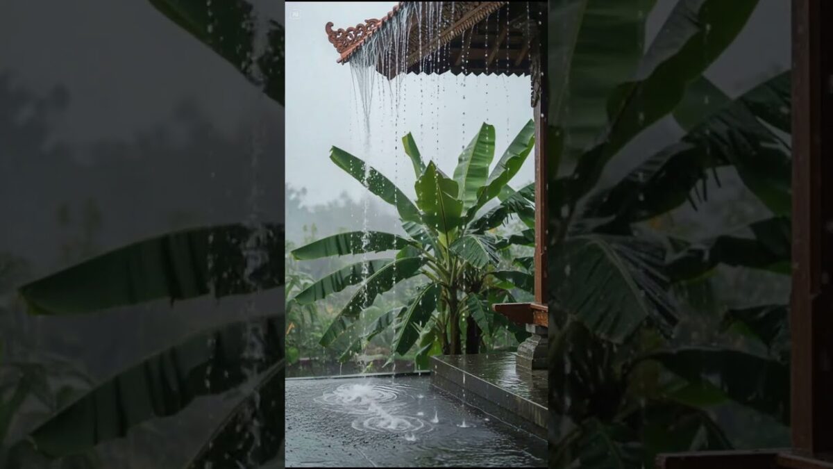 Heavy Rain on Javanese Roof 🌧️ Nature ASMR (Satisfying Sound)
