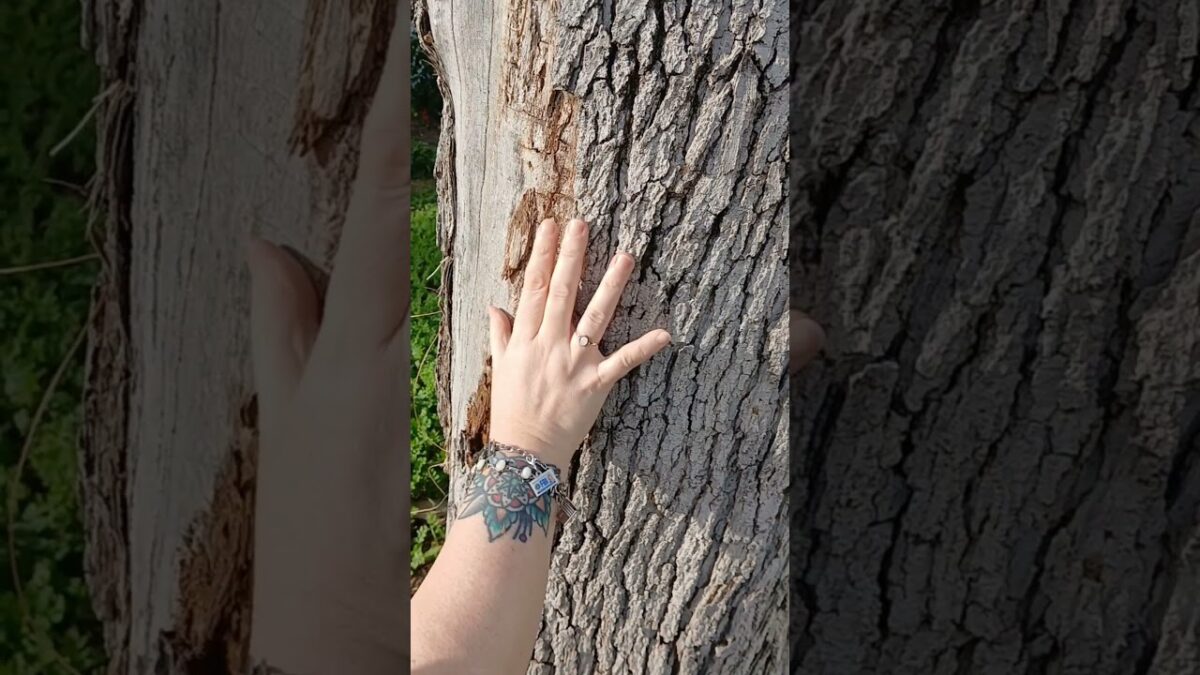 Intimate Nature ASMR Slow, Gentle Touch