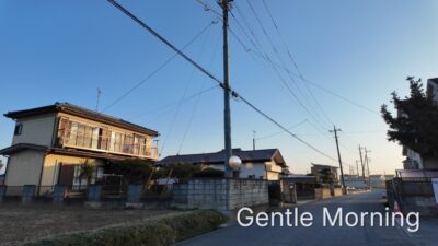 Morning Light and Gentle Mist on a Quiet Walk | Japan［4K］