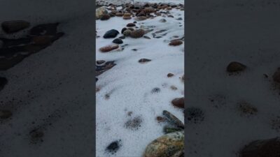 Nature ASMR 🦀 Ocean Waves Crash 🫧 Foam #naturelovers #adhd