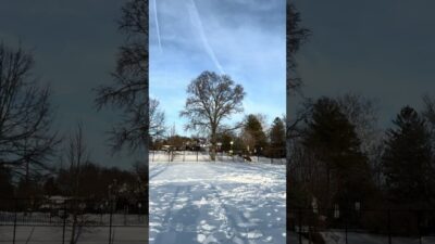 Nature ASMR #funny #nature