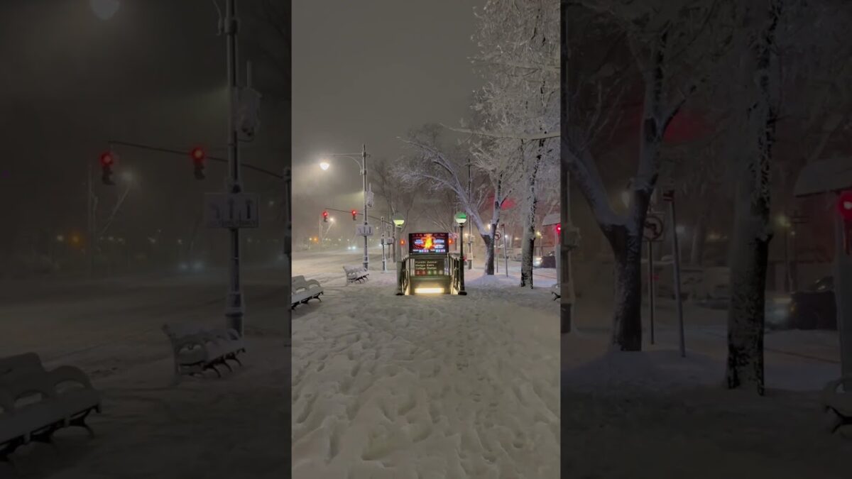 New York snow blizzard  #newyork #blizzard #nature #asmr #snowstorm