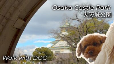 Osaka Castle Park with My Dog | Peaceful Japan Walking Tour