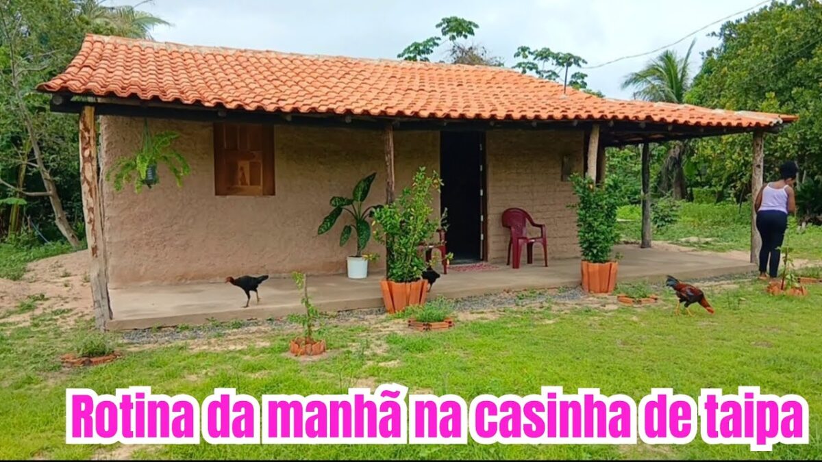Rotina da manhã na casinha de taipa