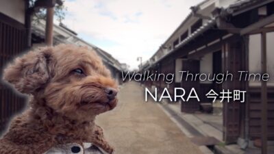 Silent Walk Through Japan’s Hidden Historic Town with My Dog [4K Healing Walk]