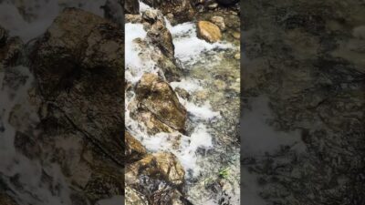 Slow River Flow & Opera | Nature ASMR 🌊