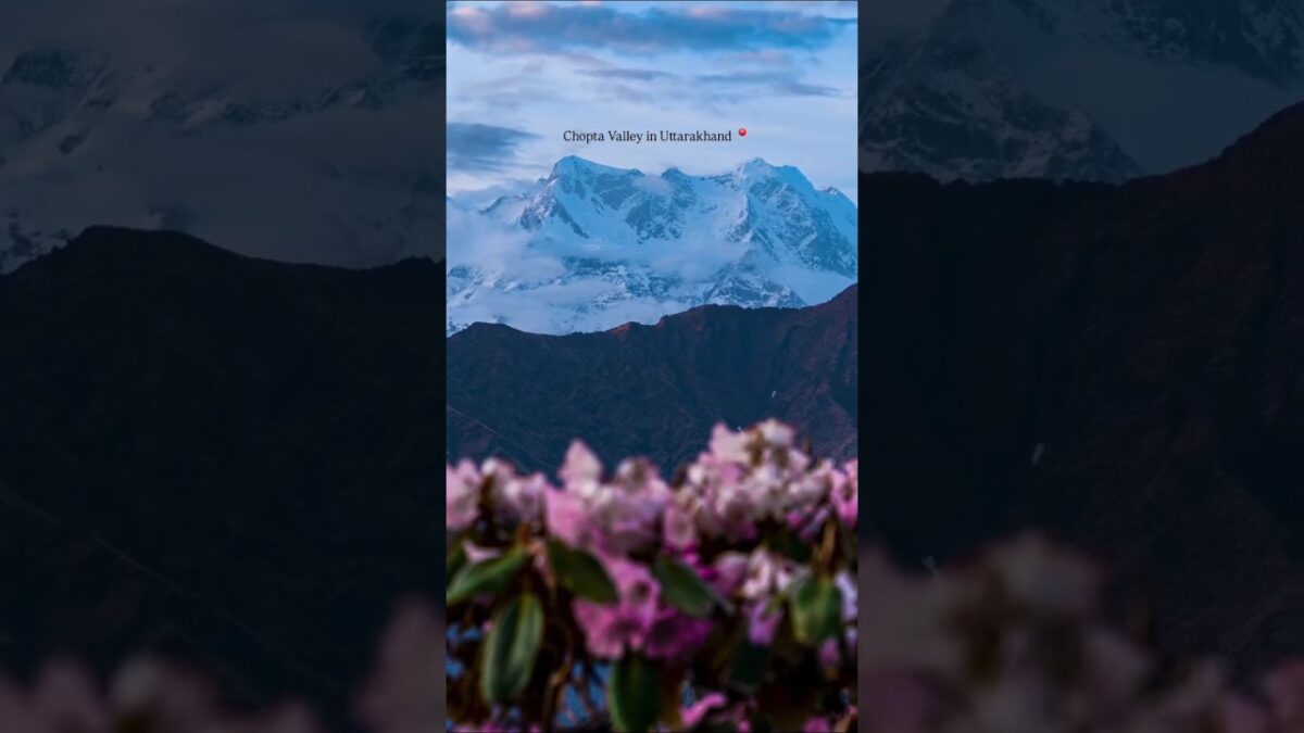 Uttrakhand lacks nature #music #asmr #nature #ytshorts #song #shorts # This is Life