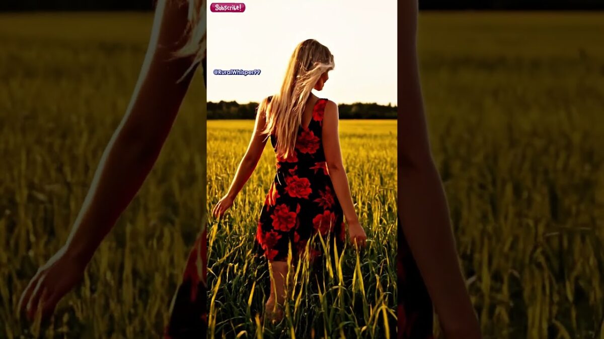 Walking Through Tall Grass 🌾 | Nature ASMR #asmr